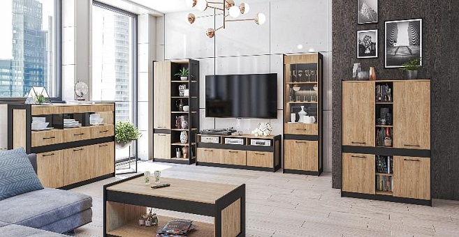 Набор мебели для гостиной Стенли (Дуб Прованс/черный) купить в Москве - фото №1