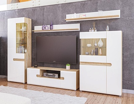 Набор мебели для гостиной Леонардо 1 (Белое дерево/дуб сонома) купить в Москве - фото №1