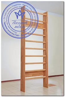 Шведская стенка Лидер Е-06-1 купить в Москве - фото №1 Шведская стенка Лидер Е-06-1 купить в Москве - фото №1