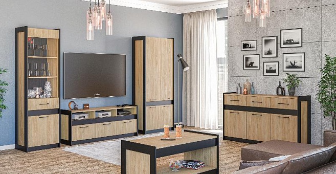 Набор мебели для гостиной Стенли 2 (Дуб Прованс/черный) купить в Москве - фото №1