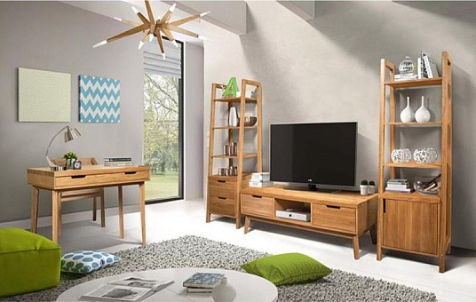 Набор мебели для гостиной Доната 2 (Массив дуба) купить в Москве - фото №1